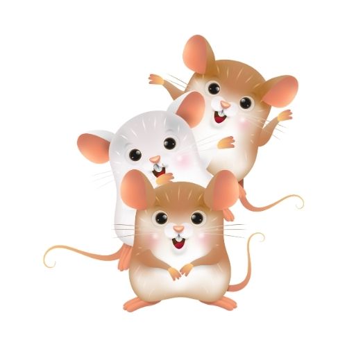 Photo de Nuit de la lecture « viles et campagnes » Soirée pyjama pour les P&rsquo;tits bouts