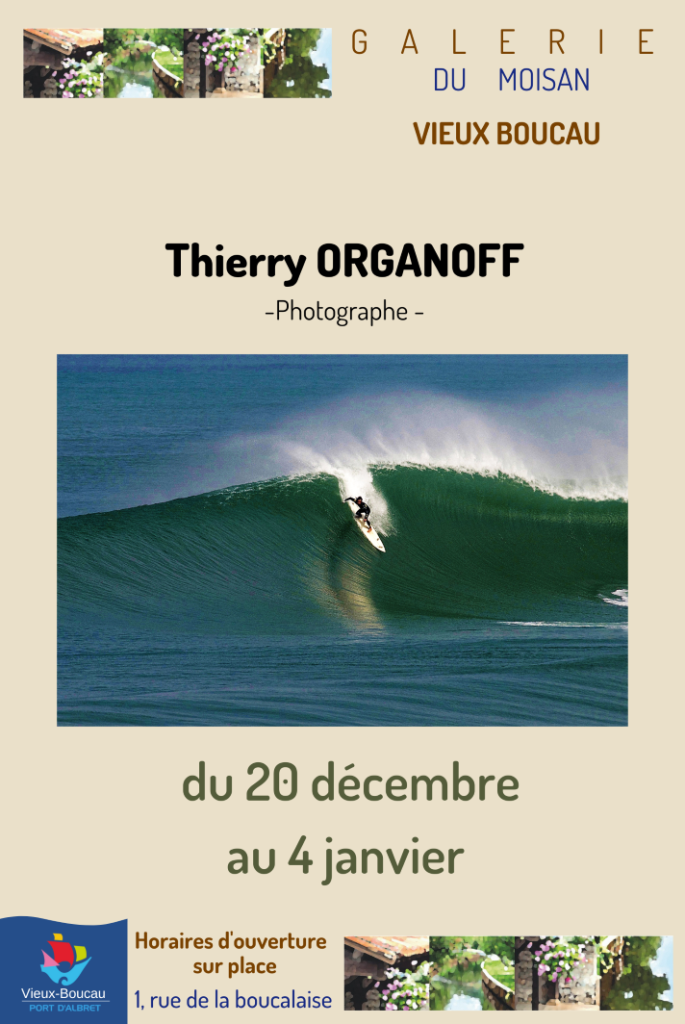 Photo de Exposition Galerie du Moïsan / Thierry Organoff