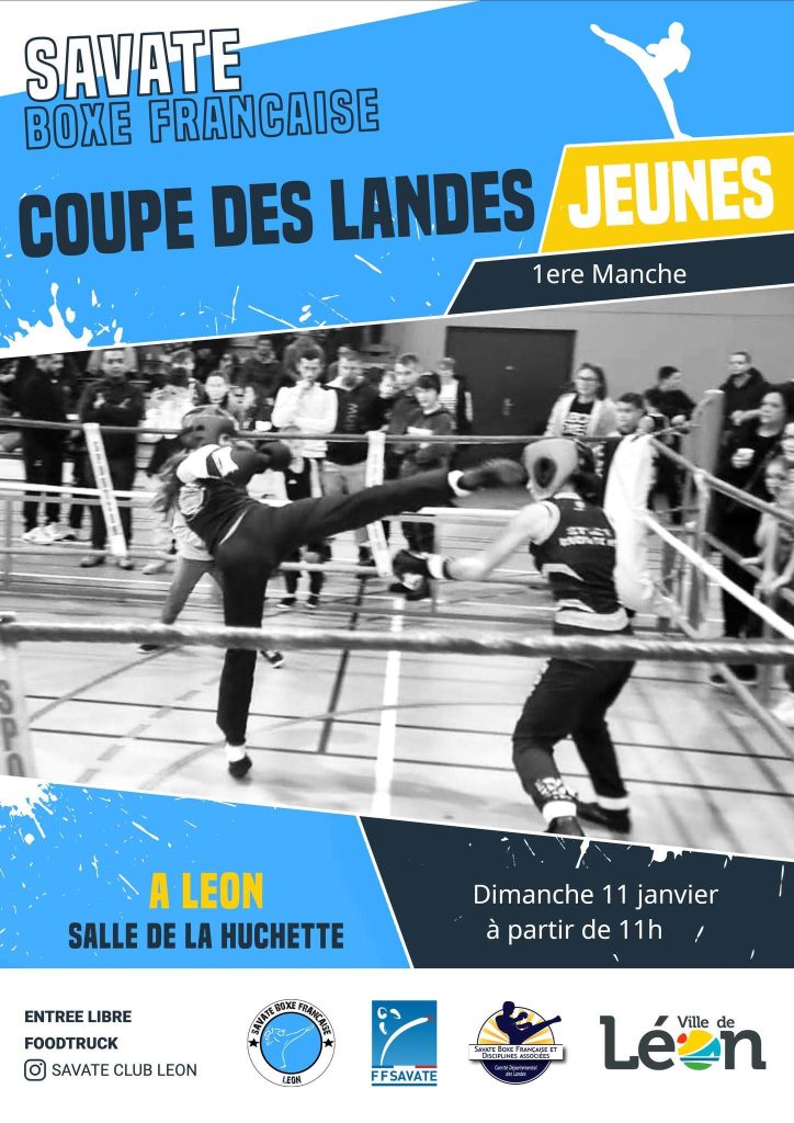 Photo de Coupe des Landes jeunes de Boxe