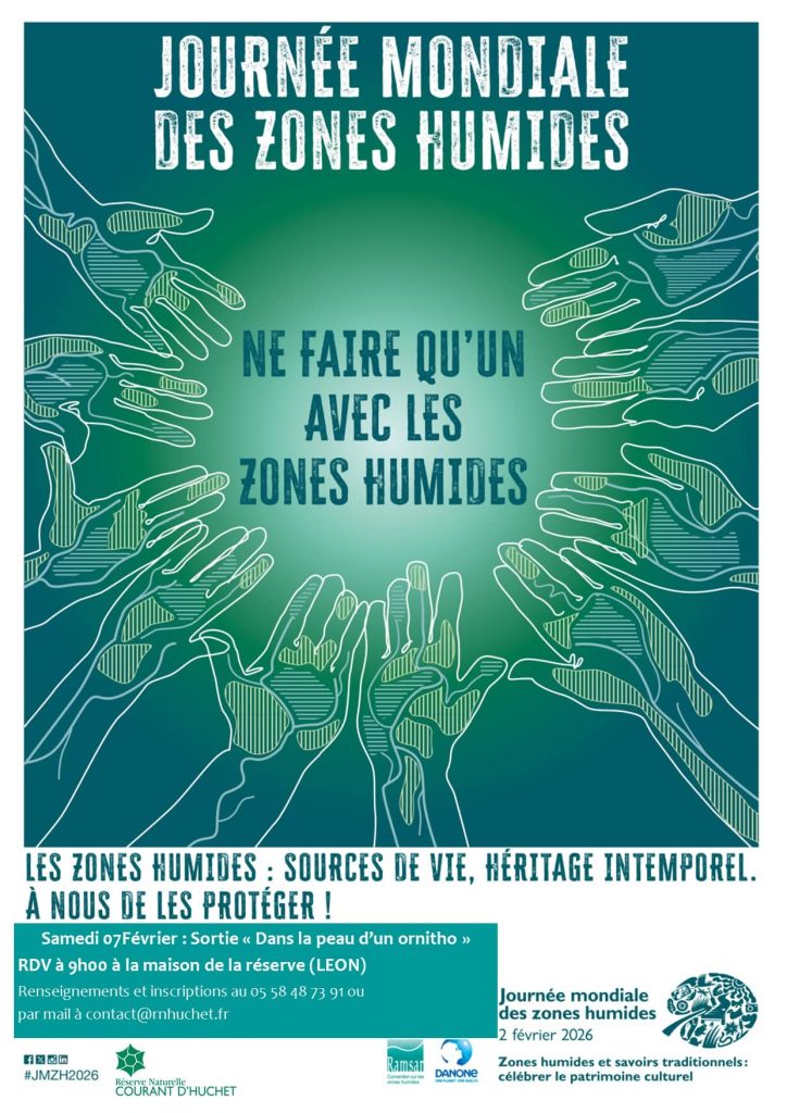 Photo de Sortie « Dans la peau d&rsquo;un ornitho »