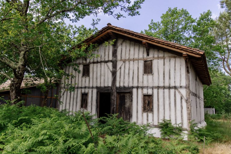 Photo de Journée découverte du Conservatoire des Landes de Gascogne