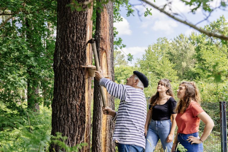Photo de Journée découverte du Conservatoire des Landes de Gascogne