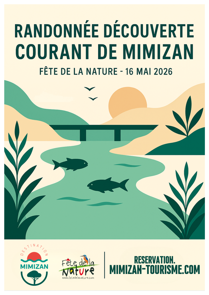 Photo de Fête de la nature : Le courant de mimizan, un écosystème complexe et fragile