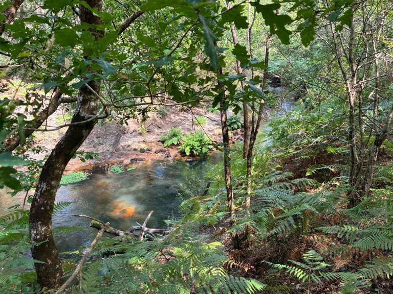 Photo de Balade nature