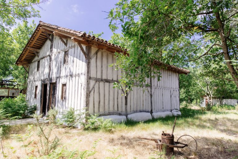 Photo de Journée découverte du Conservatoire des Landes de Gascogne