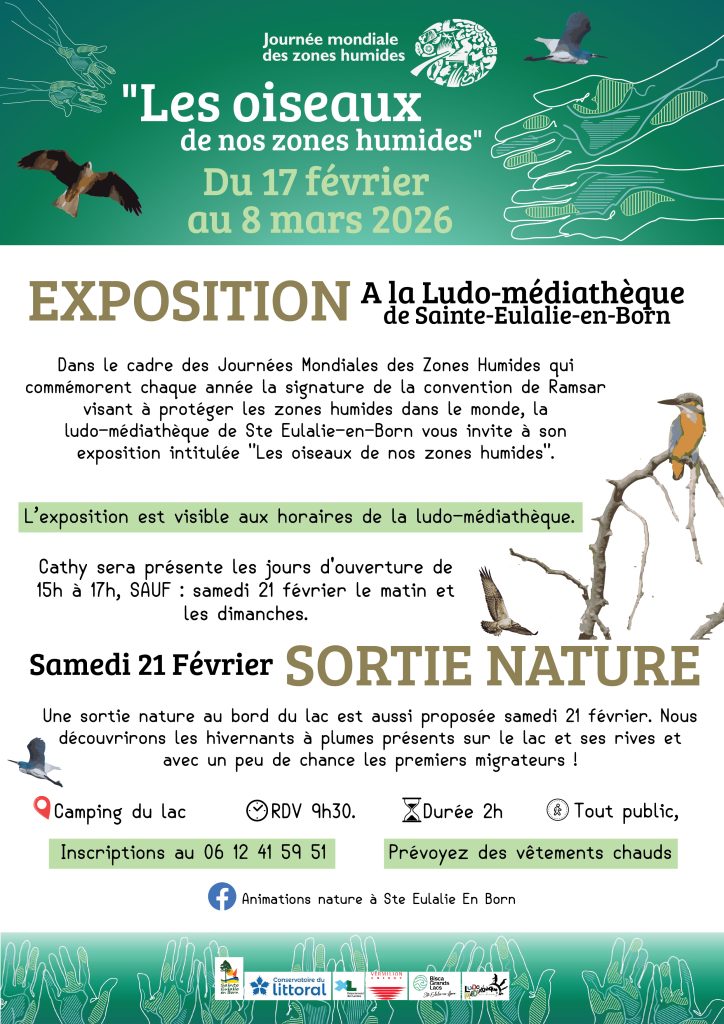 Photo de Eposition « Les oiseaux de nos zones humides »