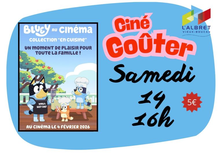 Photo de Ciné goûter – Bluey au cinéma