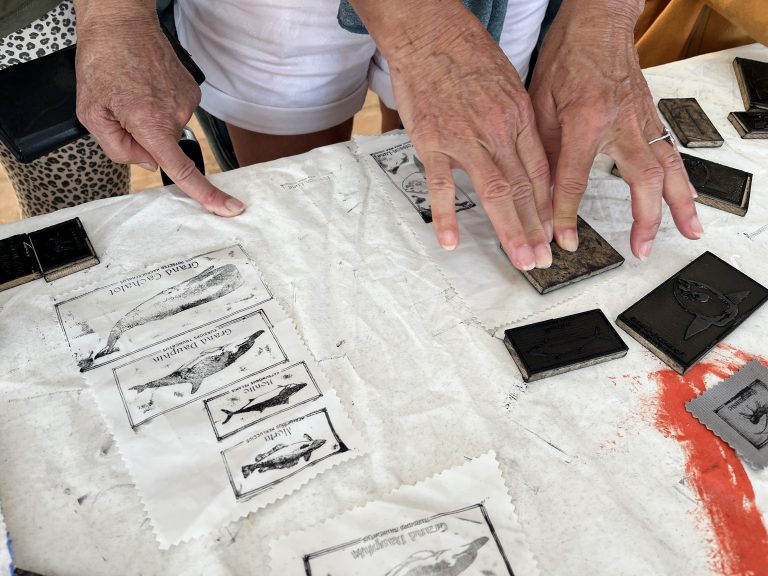 Photo de Hisse et Hot Matelot ! Animations Vacances d&rsquo;Hiver