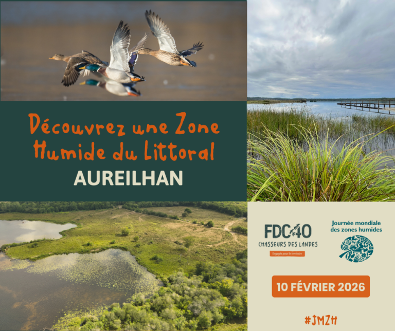 Photo de Sortie Nature : Journée Mondiale des Zones Humides