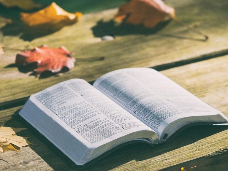 Photo de Exposition Printemps des poètes : Poèmes à fleur de murs