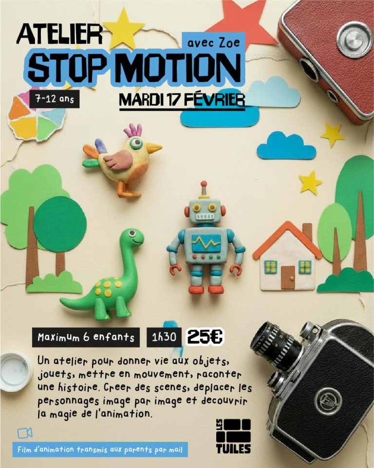 Photo de Initiation Stop Motion