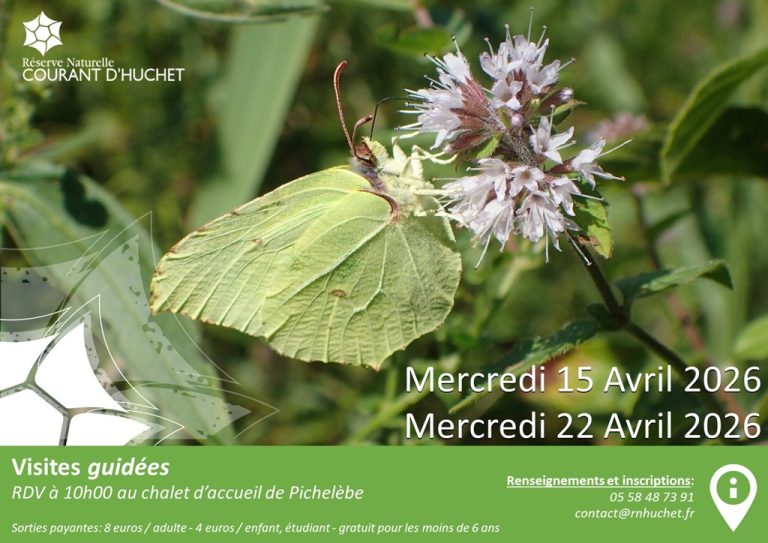 Photo de Partez à la découverte de la Réserve Naturelle du Courant d&rsquo;Huchet