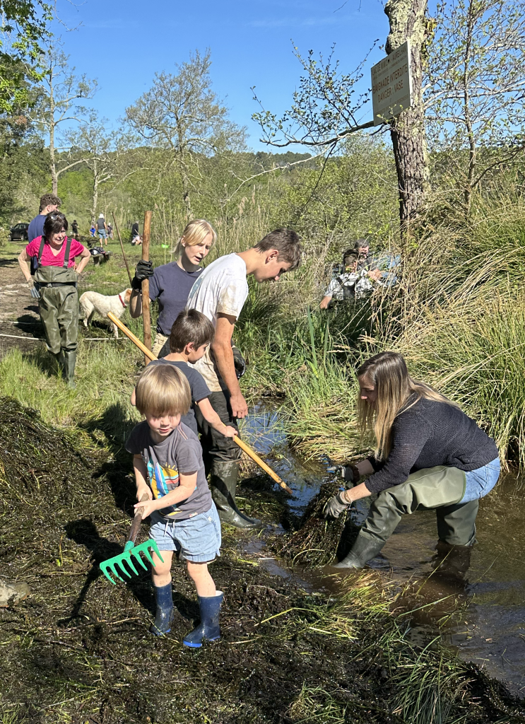 Photo de Journée Ecocitoyenne – Arrachage des plantes aquatiques invasives