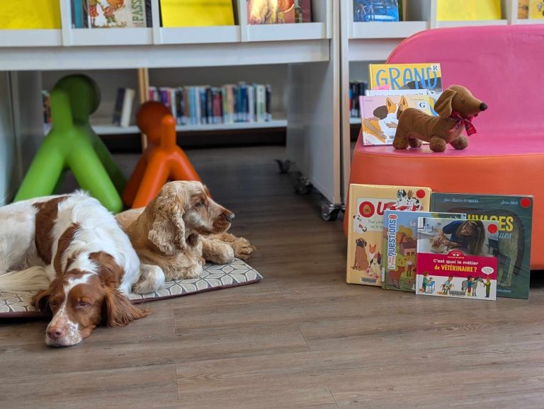 Photo de Lire avec les chiens