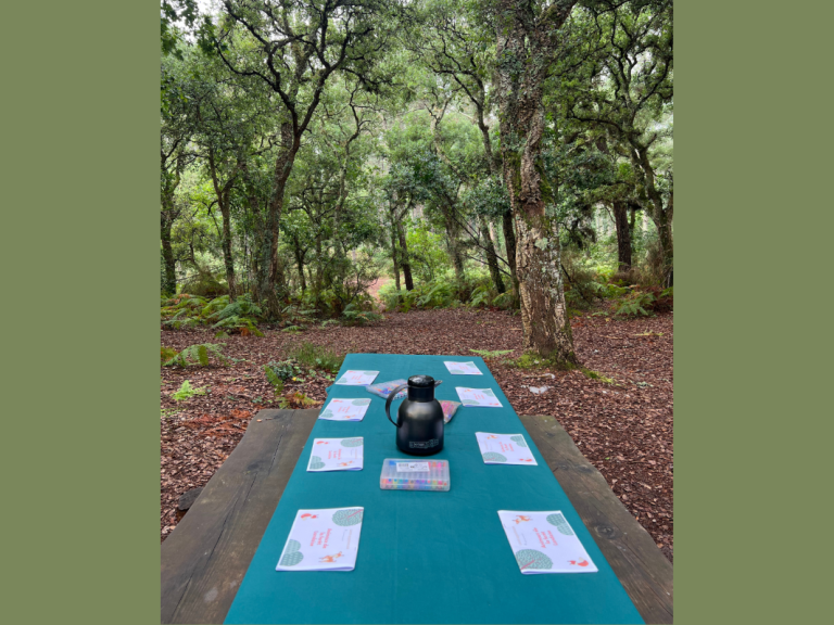 Photo de Chasse aux trésors