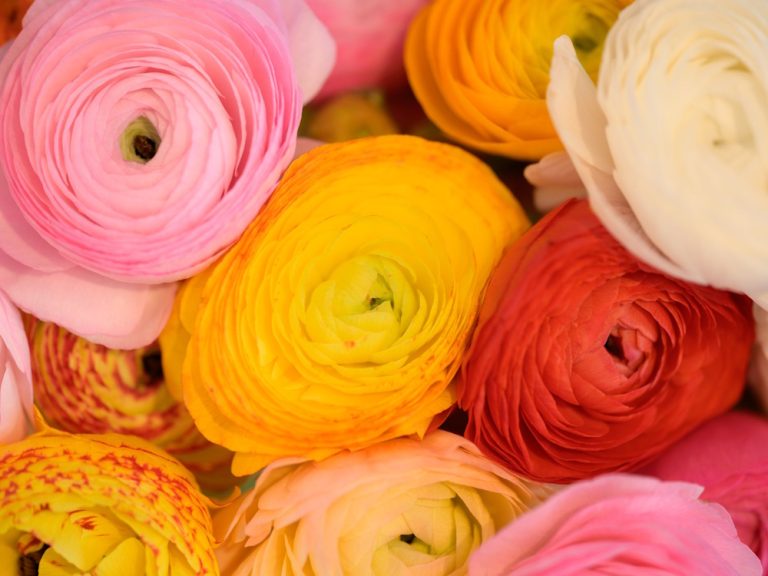 Photo de Atelier parent-enfant : composition de Pâques dans un panier