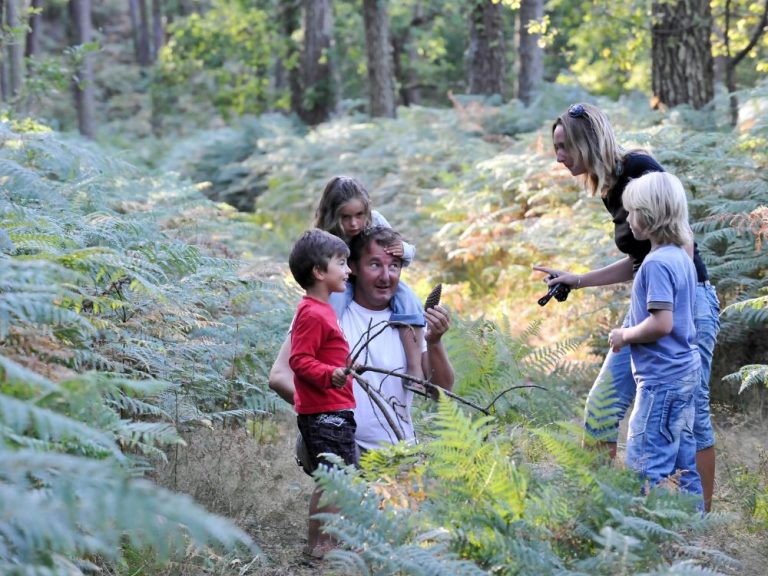 Photo de Atelier pour enfants – Les secrets de la forêt