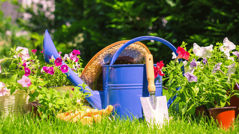 Photo de Les Floralies de l&rsquo;ACBV