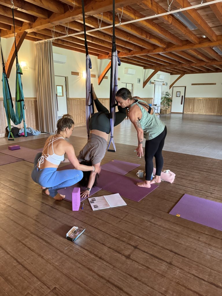 Photo de Formation en Yoga aérien
