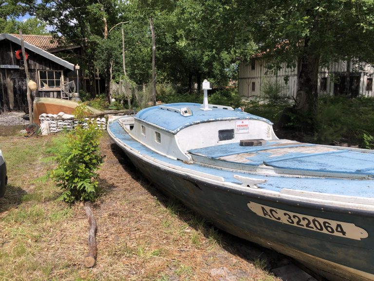 Photo de Journée découverte du Conservatoire des Landes de Gascogne
