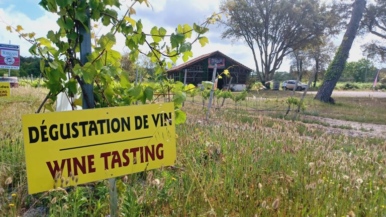 Photo de Découverte des vins landais