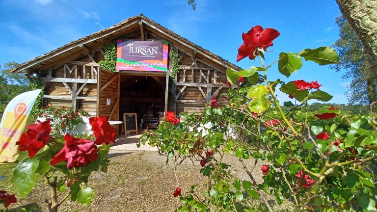 Photo de Découverte des vins landais