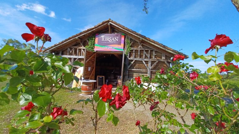 Photo de Découverte des vins landais