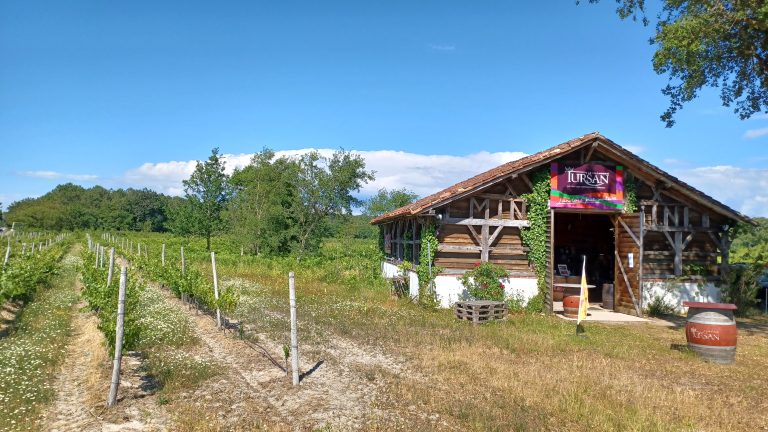 Photo de Découverte des vins landais
