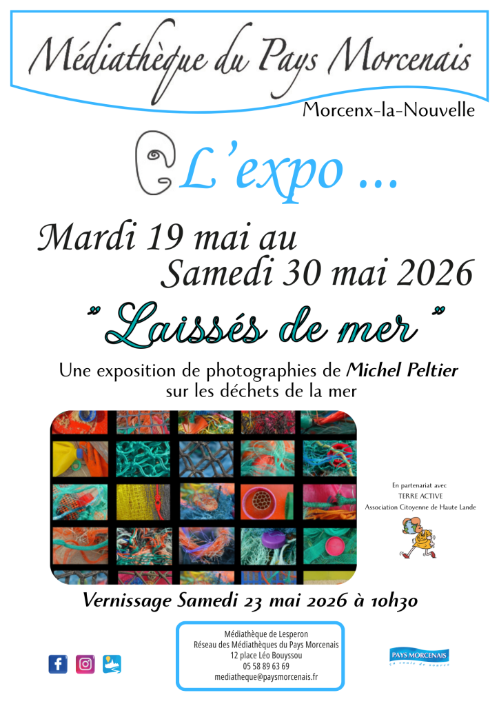 Photo de L’Expo ” Laissées de mer” de Michel Peltier