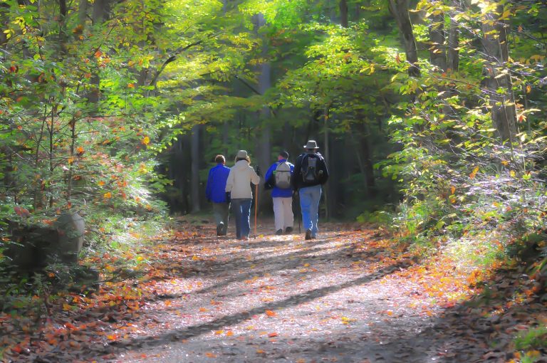 Photo de Randonnée découverte de la Réserve Naturelle Nationale d’Arjuzanx