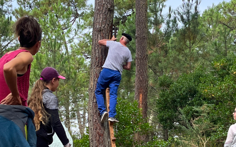 Photo de Visite du Sentier des résiniers