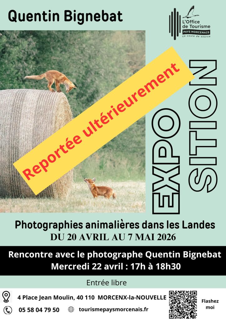 Photo de Quentin Bignebat – Photos Animalières des Landes