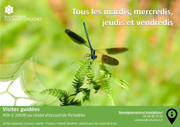 Photo de Partez à la découverte de la Réserve Naturelle du Courant d&rsquo;Huchet