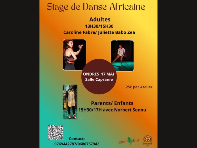 Photo de Stages de danses africaines