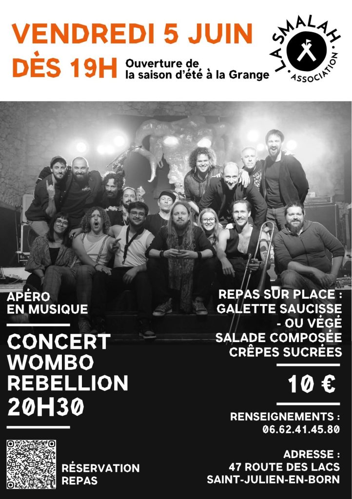 Photo de Concert Wombo Rebellion