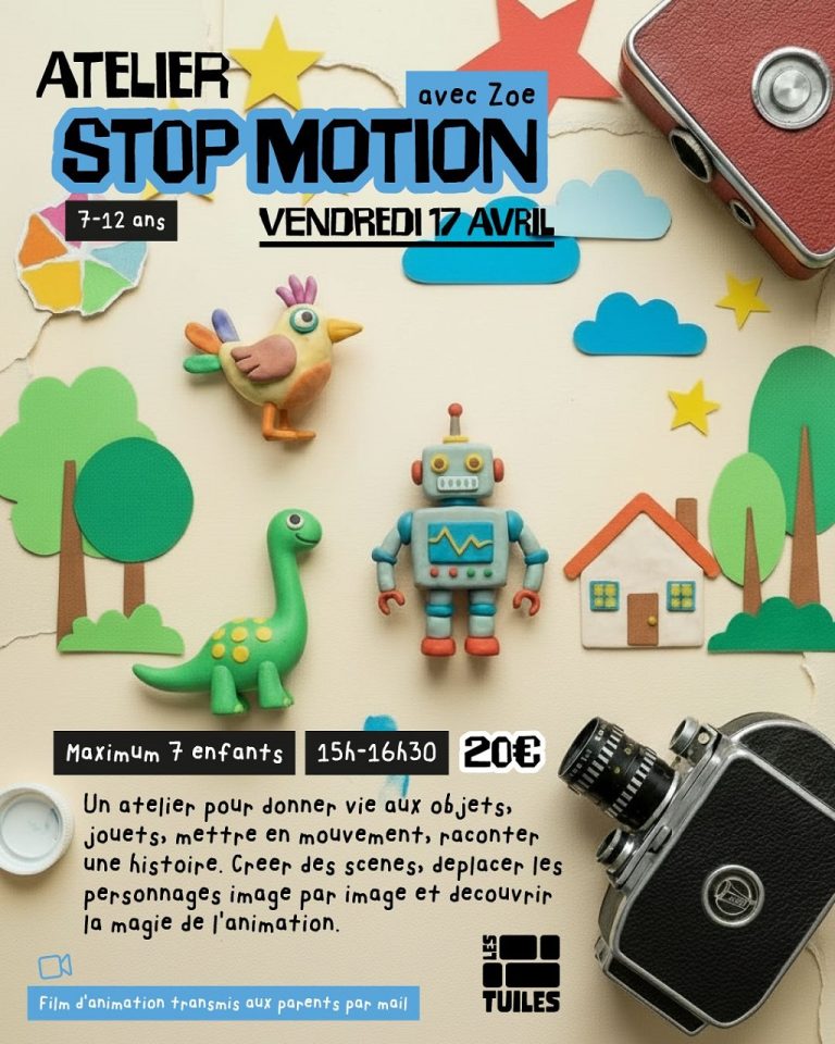 Photo de Atelier Stop Motion
