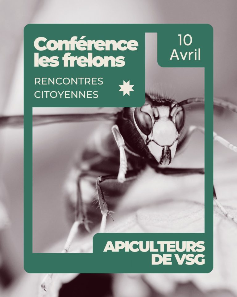 Photo de Conférence sur les frelons