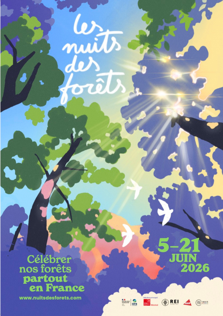 Photo de Les Nuits des Forêts