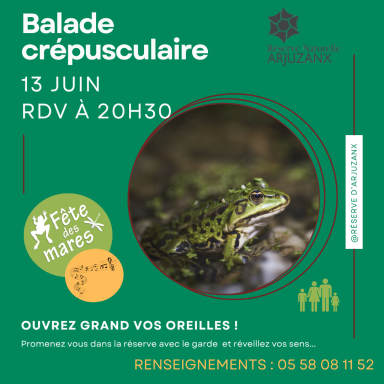 Photo de Rendez-vous nature : Fête des mares