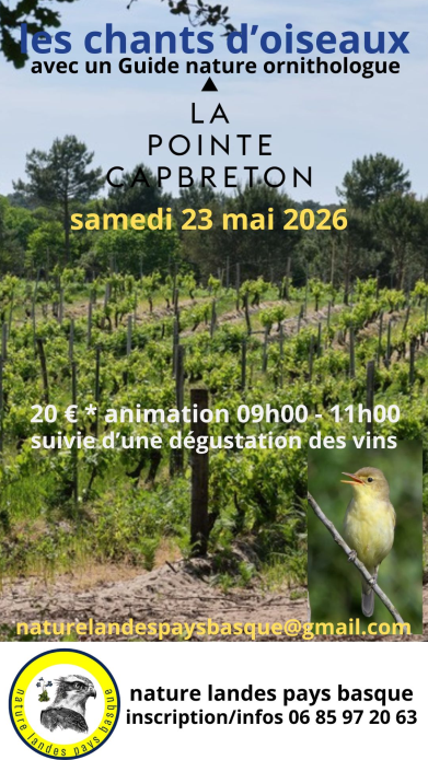 Photo de Visite thématique guidée et dégustation vins