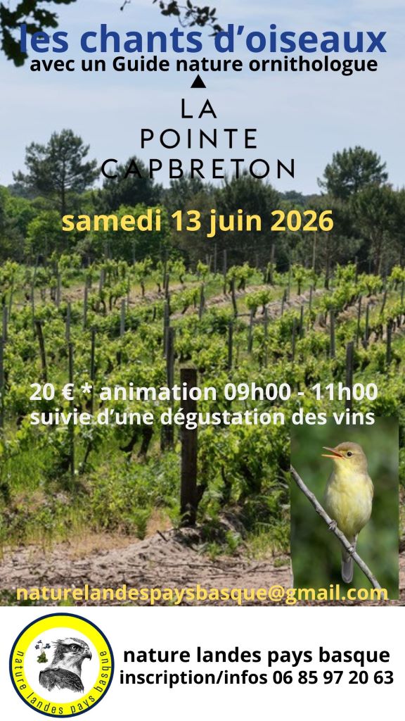 Photo de Animation chants d’oiseaux et dégustation vins