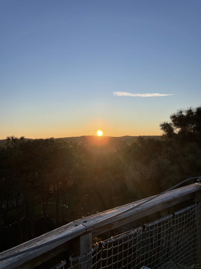 Photo de Deux nuits en forêt