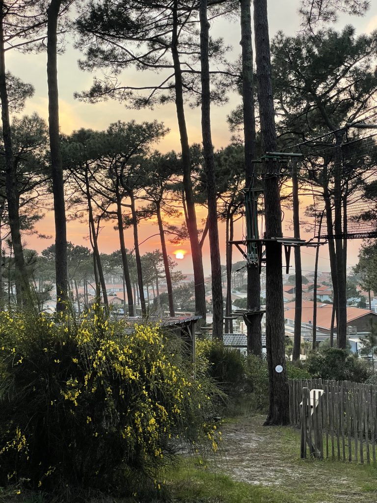 Photo de Deux nuits en forêt