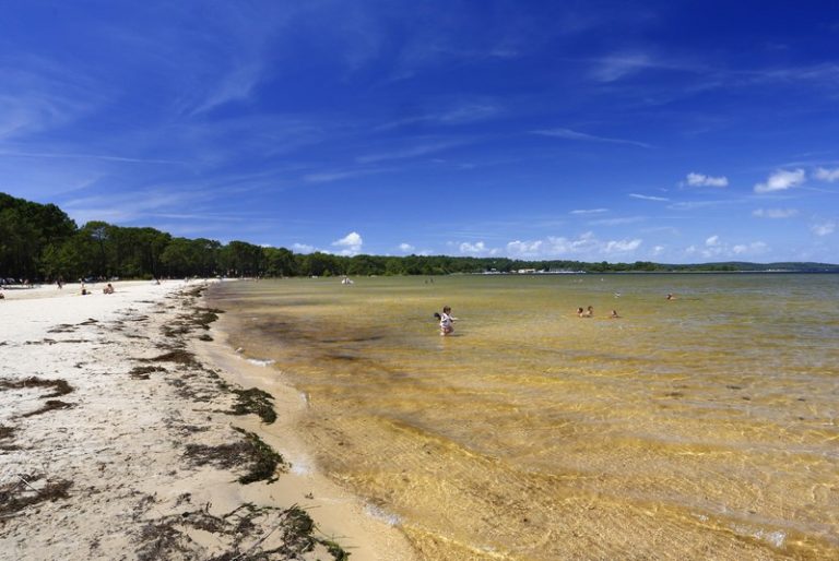 Photo de Plage de Navarrosse