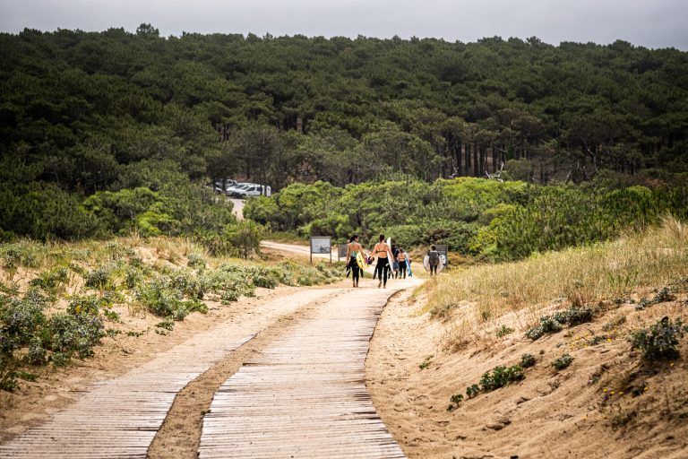 Photo de Pura Vida Surf Shop – Surf School