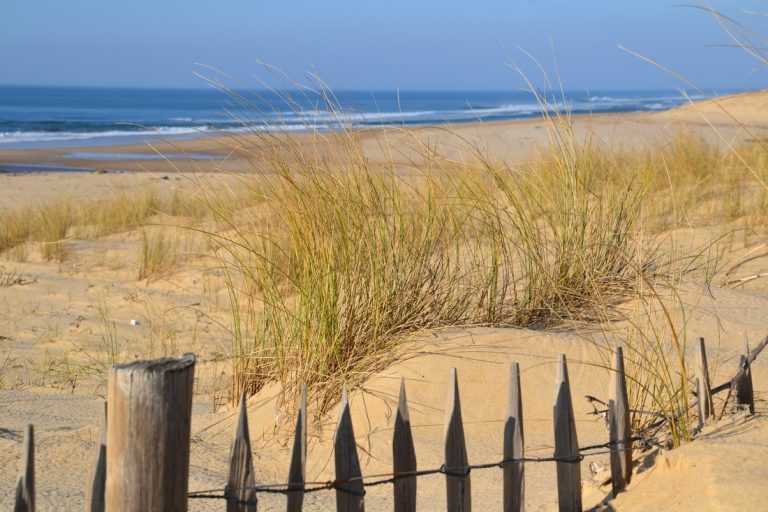 Photo de Plage Centrale de Moliets-et-Maâ