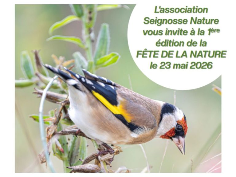 Photo de Fête de la Nature