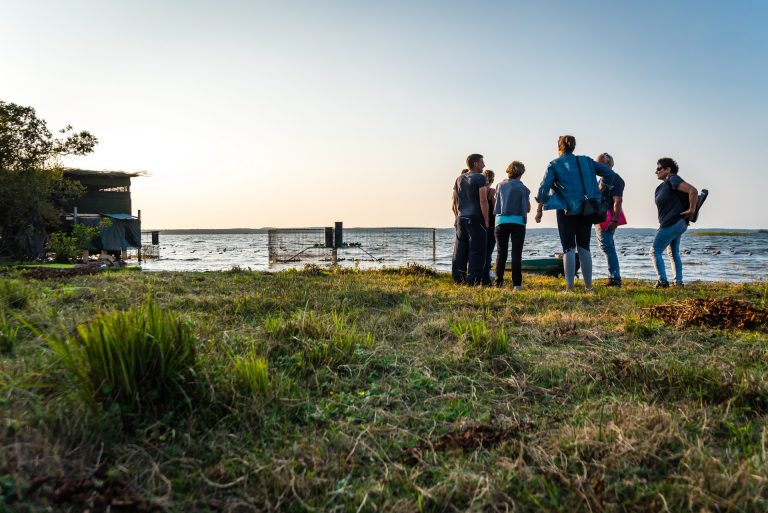 Photo de Découverte des prairies au bord du lac de Parentis