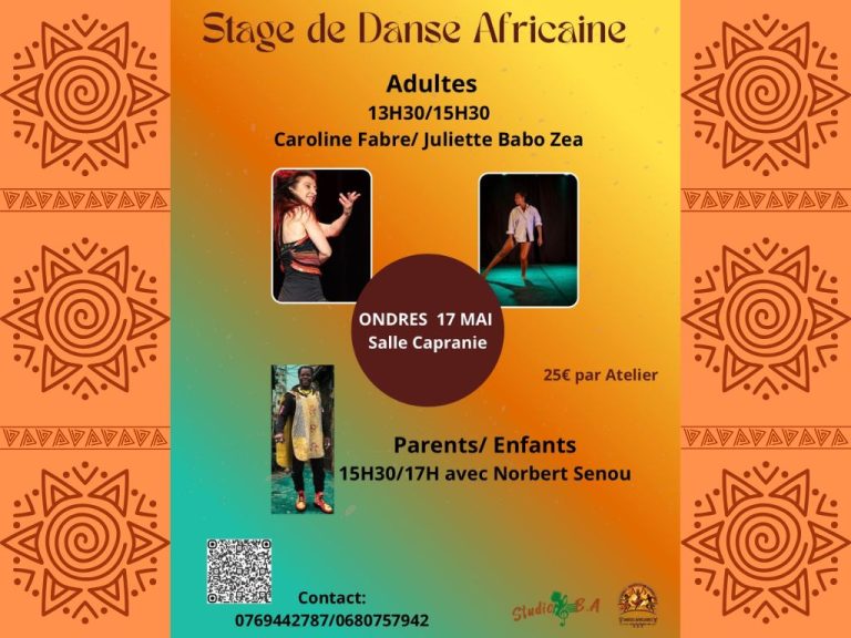 Photo de Stages de danses africaines