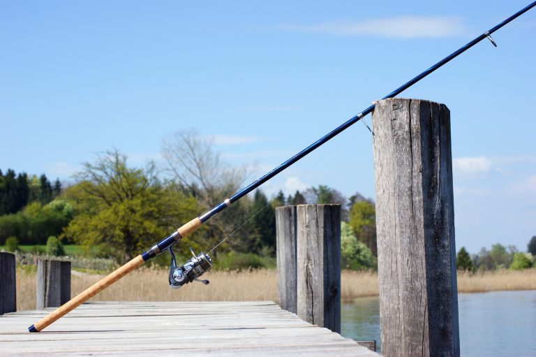 Photo de Concours de pêche à la truite des Ferias